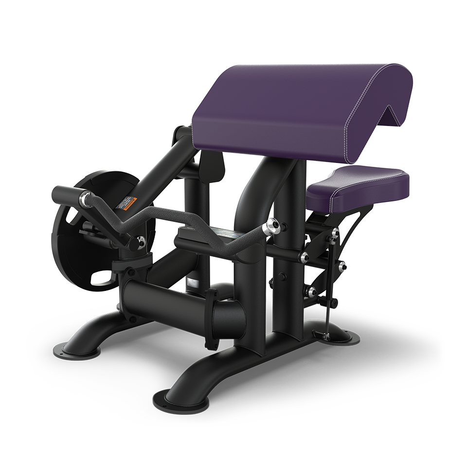 A black and purple seated preacher curl gym machine with padded arm and seat supports, angled handles, and weight plate loading pegs, designed for bicep exercises.