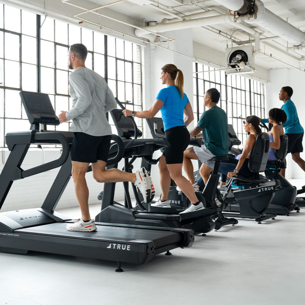 Five people are exercising in a bright gym, using treadmills, ellipticals, and stationary bikes, facing large windows that let in plenty of natural light.