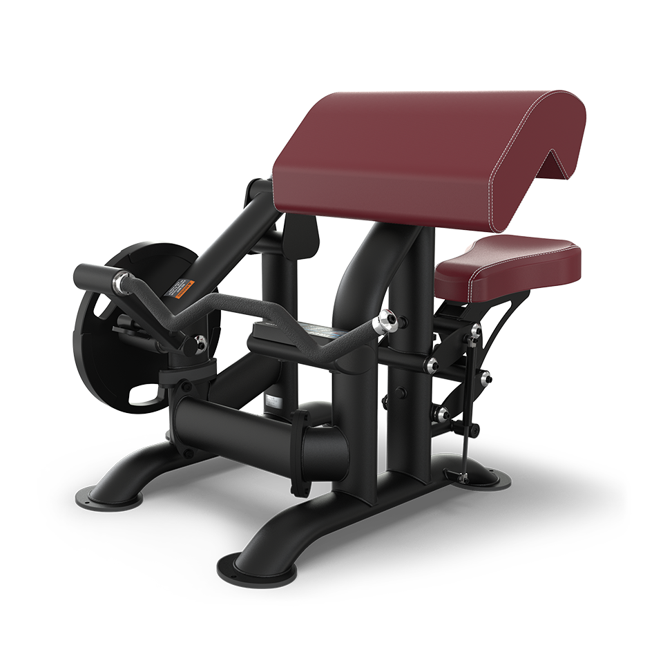 A seated bicep curl machine with a maroon padded seat and armrest, black frame, and handles attached to weights designed for strength training exercises.